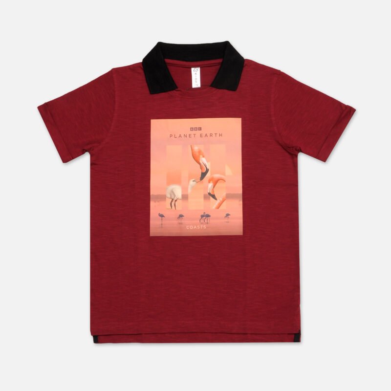 Boys Polo T shirt Contrast Polo Collar(Brown)