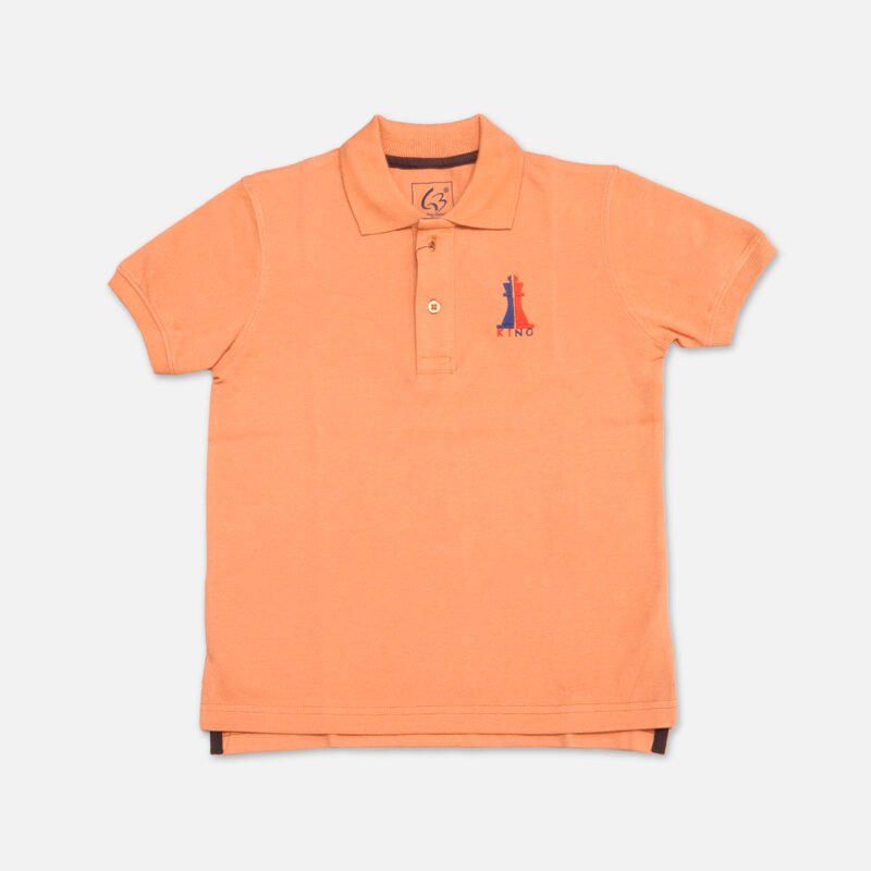 Boys Polo T shirt(L Orange)